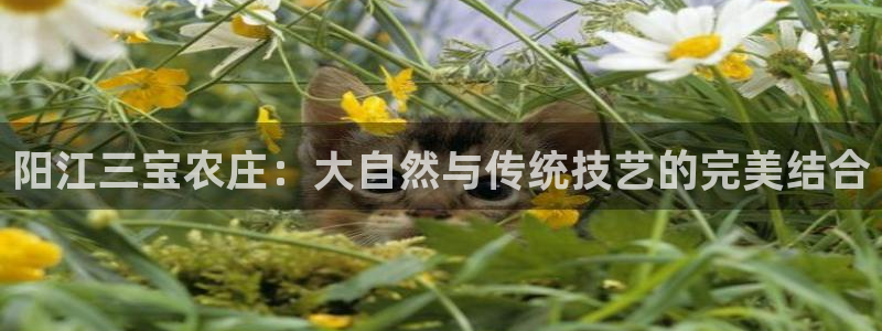 天辰娱乐公司