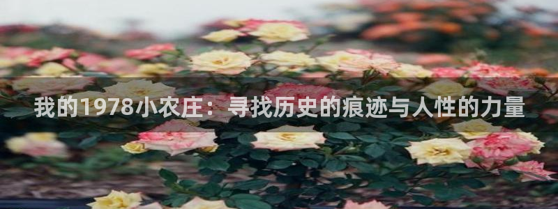 天辰娱乐44616