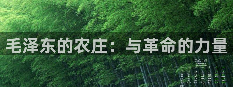 天辰娱乐股东