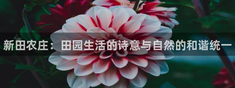 天辰娱乐 728567