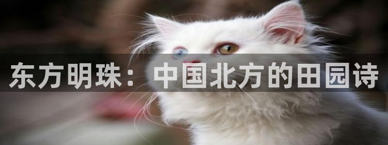天辰娱乐22650
