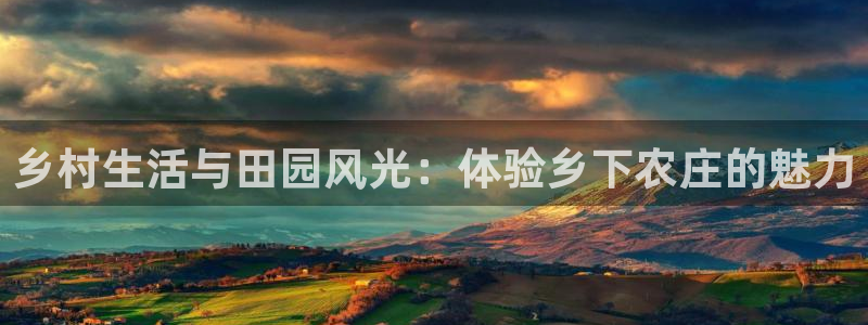 天辰娱乐总管年薪