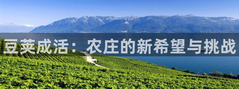 天辰娱乐娱乐平台