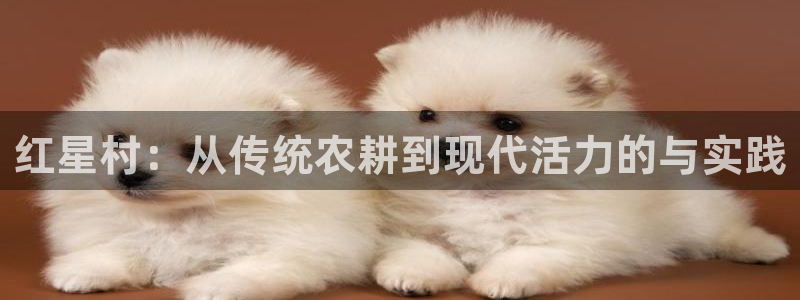 天辰娱乐指尖所