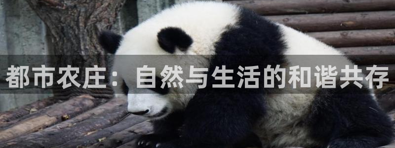 天辰娱乐的网址首页