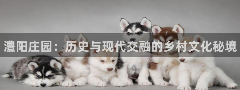 天辰娱乐平台app下载