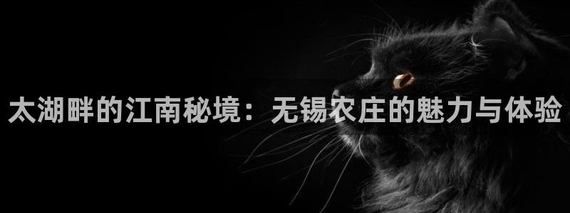 天辰娱乐官方登录入口