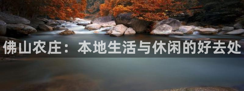 天辰娱乐 231639