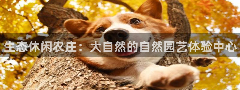 天辰娱乐best