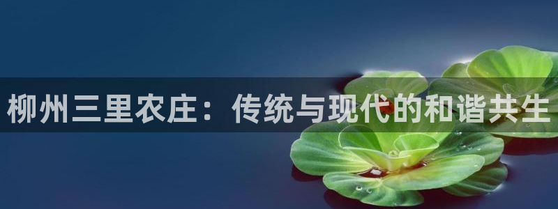 天辰娱乐 . 鱼刺