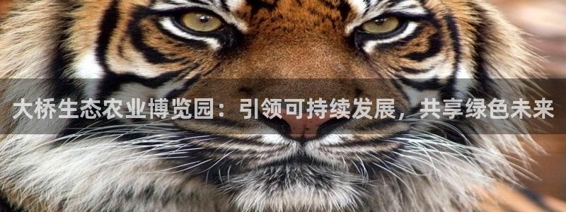 天富娱乐天辰娱乐