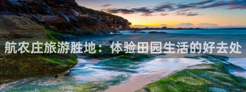 天辰娱乐ttf