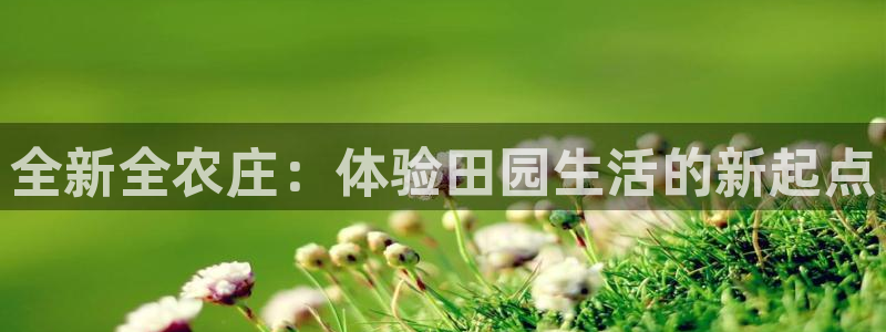天辰娱乐61116