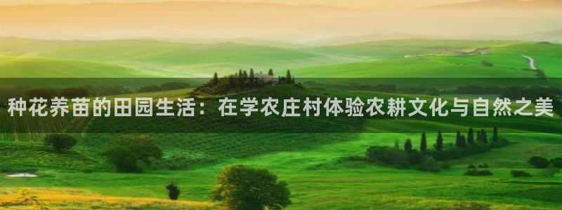 天辰娱乐会所