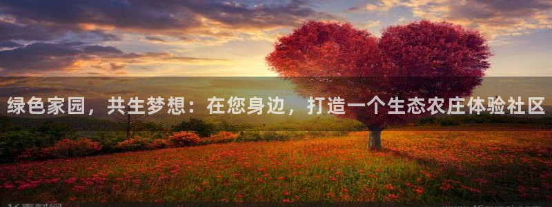 天辰娱乐官网平台入口