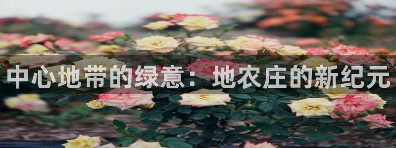 天辰娱乐注册登录