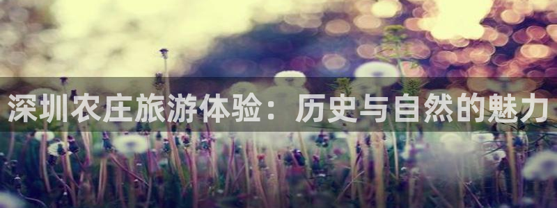 天辰娱乐怎么样