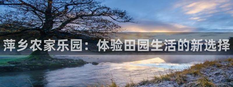 深圳天辰娱乐