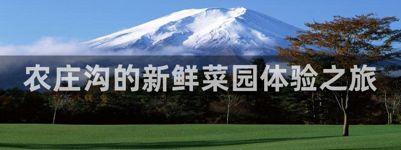 天辰娱乐登录网址