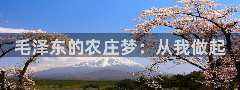 天辰娱乐平台入口