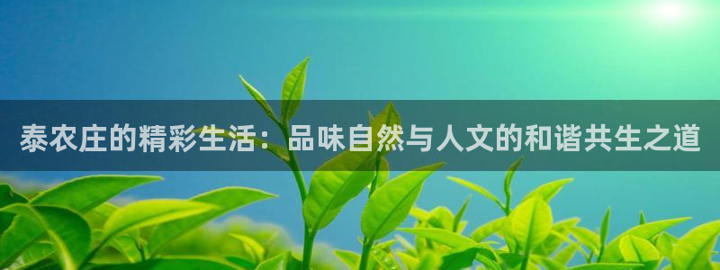 北京天辰娱乐