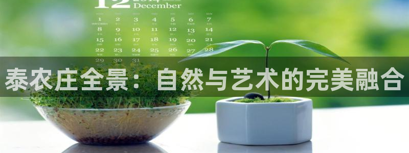 天辰娱乐平台娱乐注册