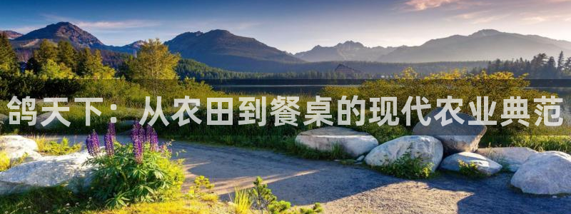 天辰娱乐平台入口