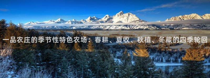 天辰娱乐的网址首页