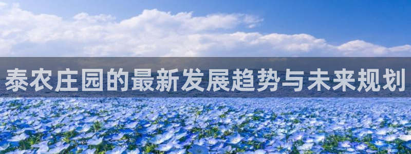 天辰娱乐娱乐注册