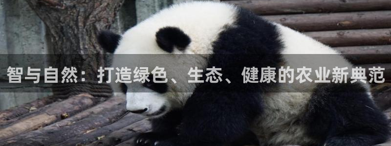 天富娱乐与天辰娱乐