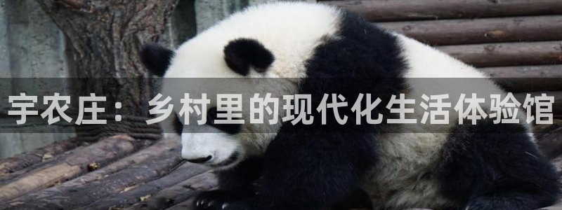 天辰辰娱乐代理