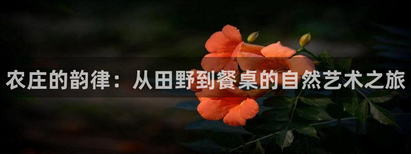 天辰娱乐怎么样