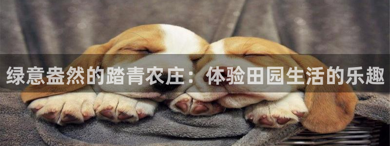 天辰娱乐下载链接