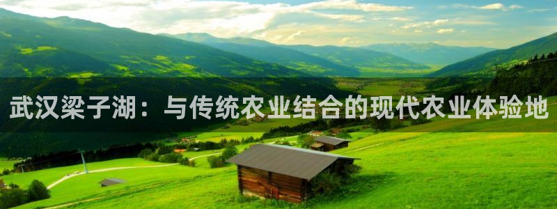 天辰娱乐怎么样