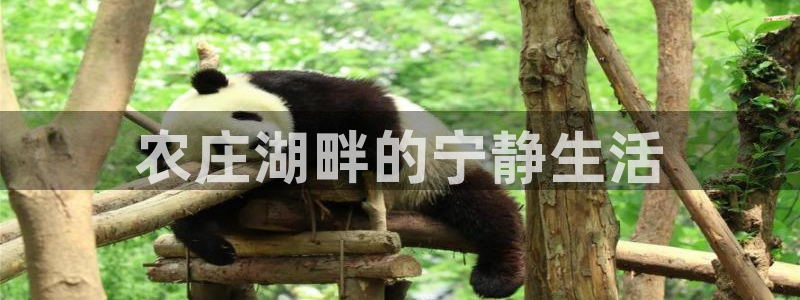 天辰娱乐平台注册