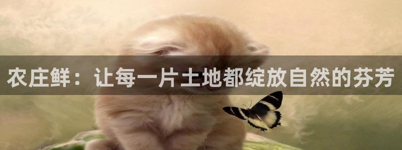 天辰娱乐天辰注册登录