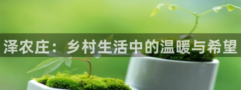 天辰娱乐39974神