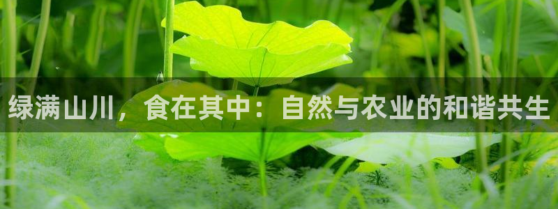 天辰娱乐平台地址