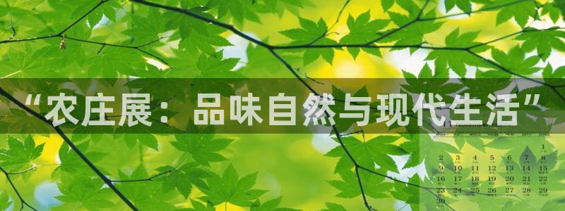 天辰娱乐游戏平台怎么样