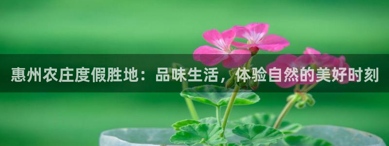 天辰娱乐下载地址
