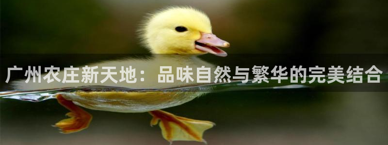 天辰娱乐上级