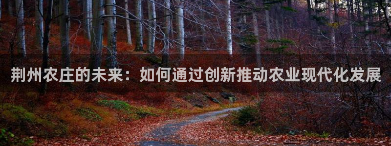 天辰娱乐路线