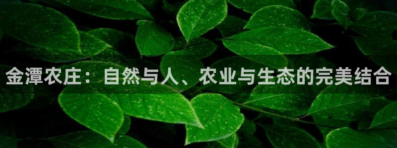 天辰娱乐登陆平台