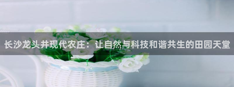 天辰娱乐 231639