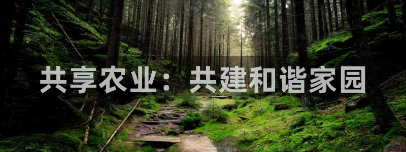 天辰娱乐 231639