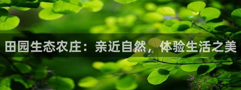 天辰娱乐1996
