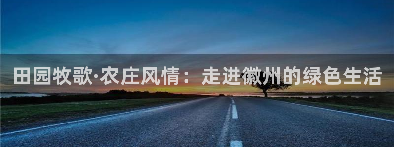 手机上怎么下载天辰娱乐