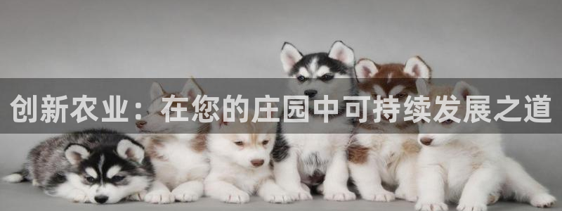 天辰娱乐股票