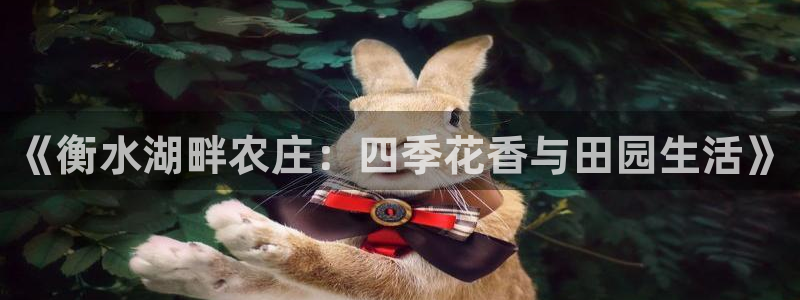 天辰娱乐十分彩