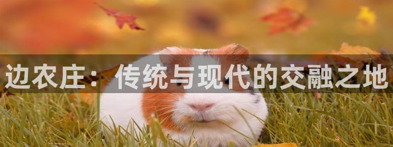 辰天娱乐用品